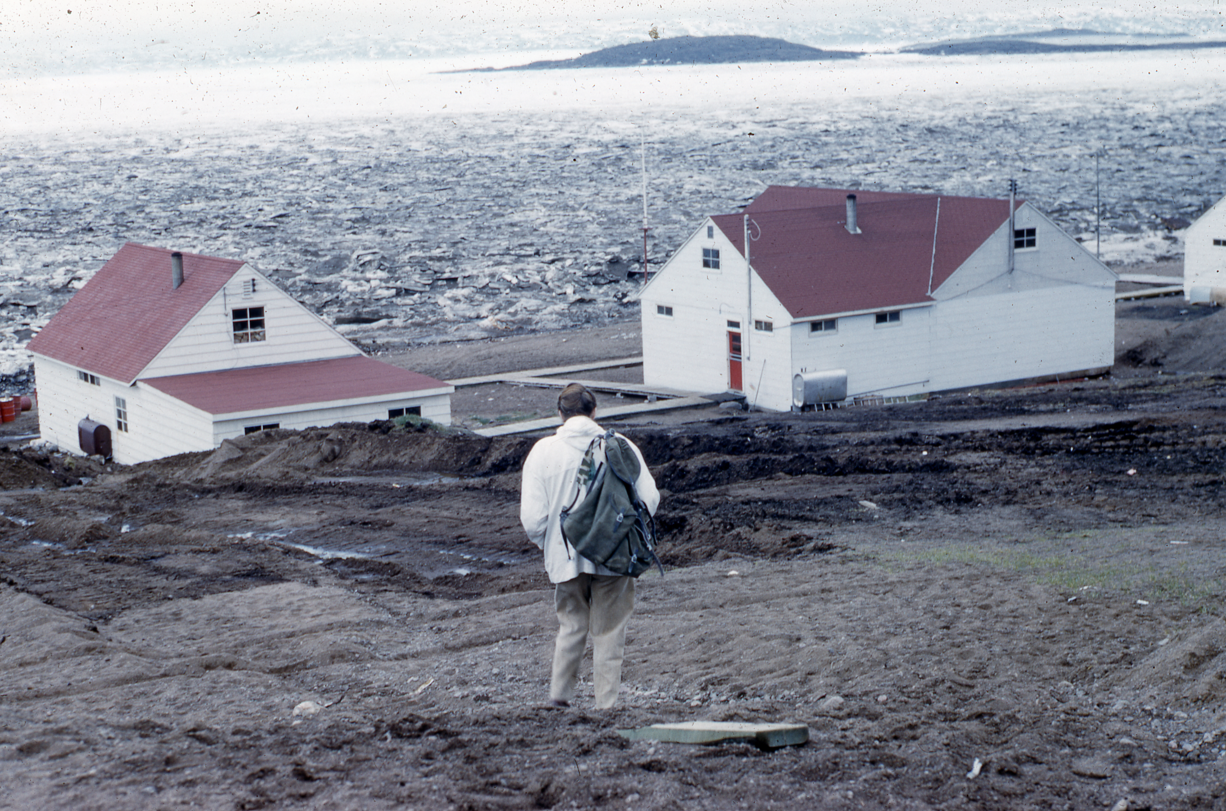 The red roofed buildings of the Hudson's Bay Store, 1960.