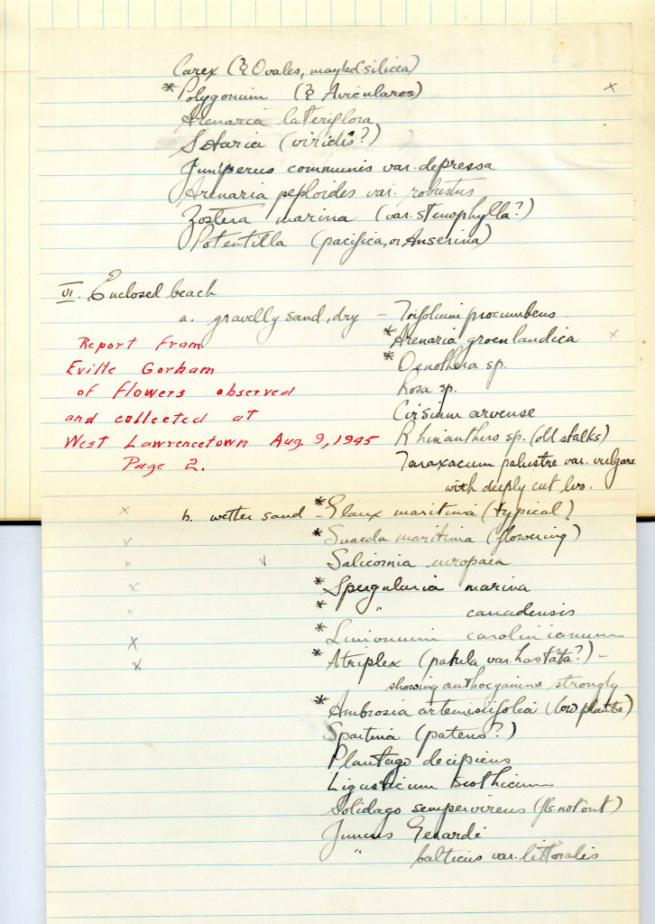 Report from Eville Gorham of Flowers observed and collected at West Lawrencetown. August 9, 1945. Page 2.